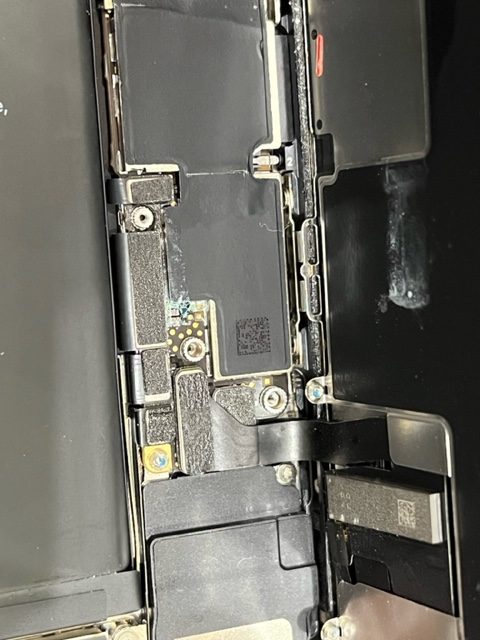 水没にご注意ください！！！